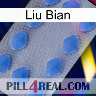 Liu Bian 21